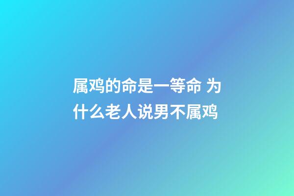 属鸡的命是一等命 为什么老人说男不属鸡